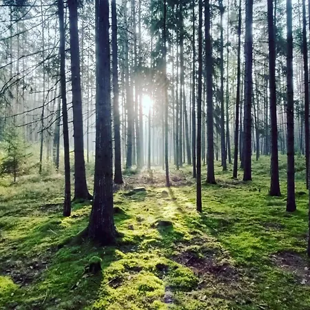 Chata Marecek - V Lesni Osade U Reky Luznice Skalice Exterior photo